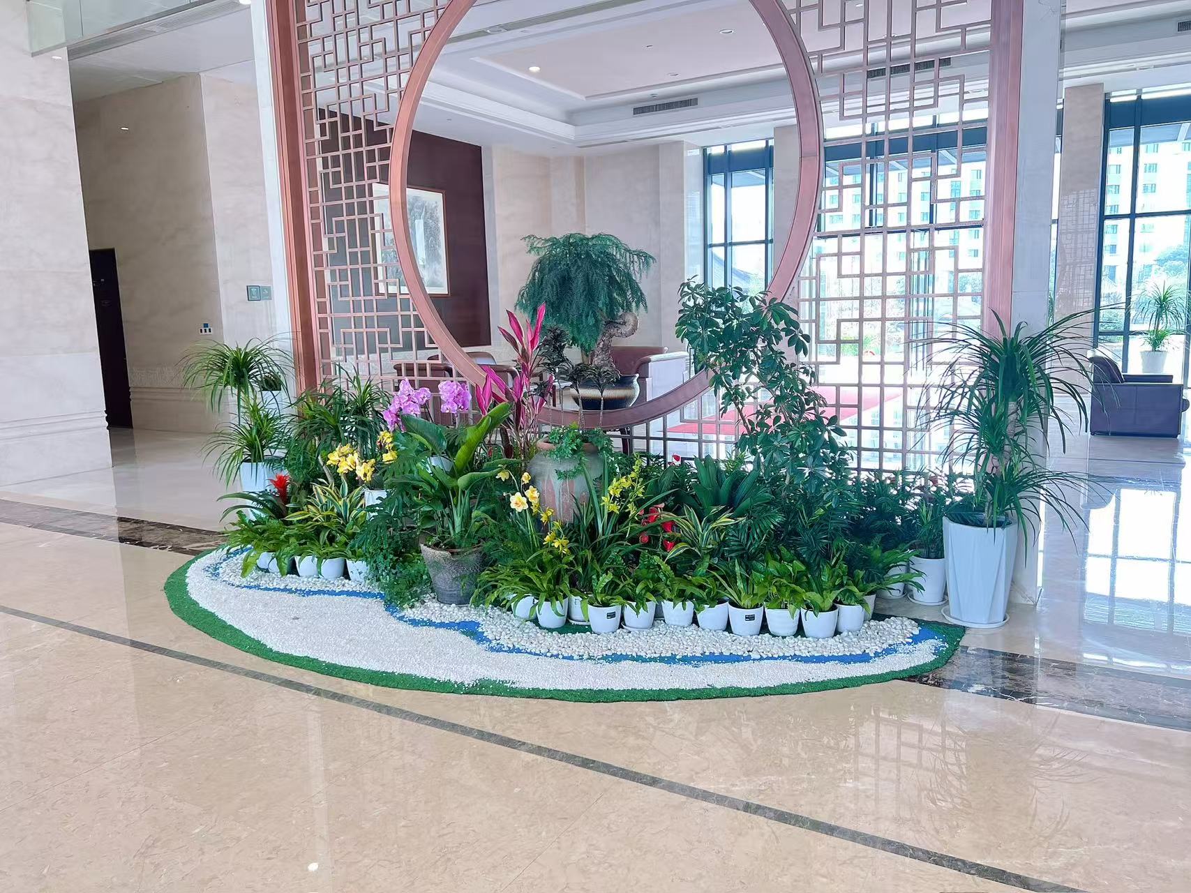 宁波慈溪植物出租公司